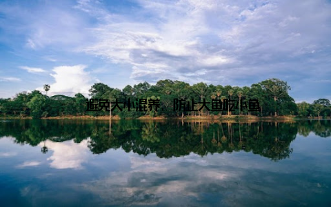 – 避免大小混养, 防止大鱼吃小鱼