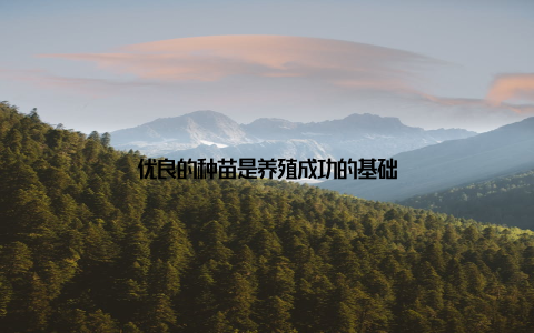 优良的种苗是养殖成功的基础