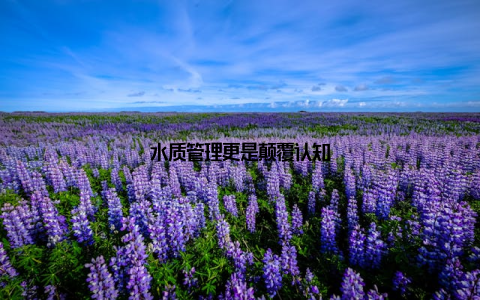 水质管理更是颠覆认知