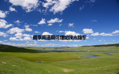夏季高温期可增加换水频率