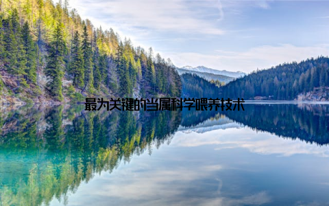 最为关键的当属科学喂养技术