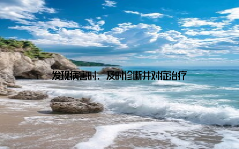 发现病害时, 及时诊断并对症治疗