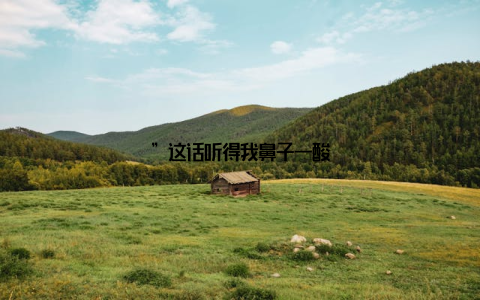 ”这话听得我鼻子一酸