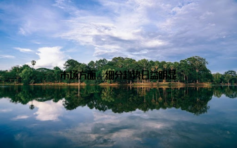 市场方面, 细分趋势日益明显