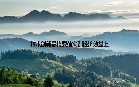 技术创新最终要落实到经济效益上