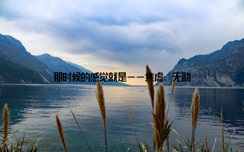 那时候的感觉就是——焦虑、无助