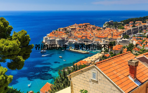 养鱼如同人生, 急不得也懒不得