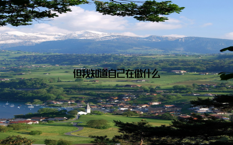 但我知道自己在做什么