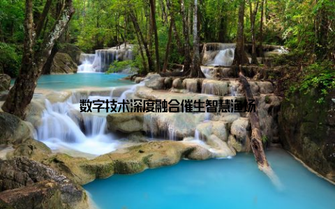 数字技术深度融合催生智慧渔场