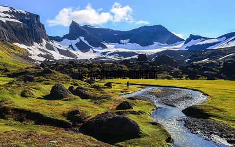 资本却在嗅到血腥味