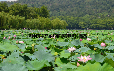 这种仿生态系统的构建绝非偶然