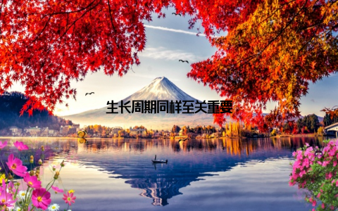 生长周期同样至关重要