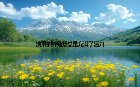 清晨的养殖场总是充满了活力