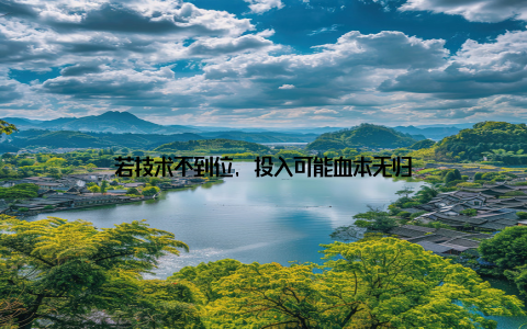 若技术不到位, 投入可能血本无归