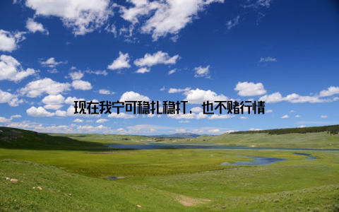 现在我宁可稳扎稳打, 也不赌行情