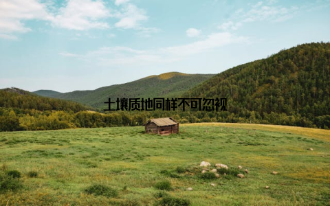 土壤质地同样不可忽视