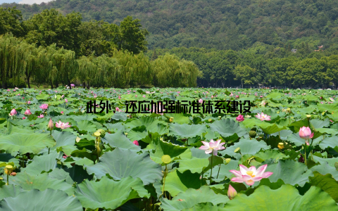 此外, 还应加强标准体系建设