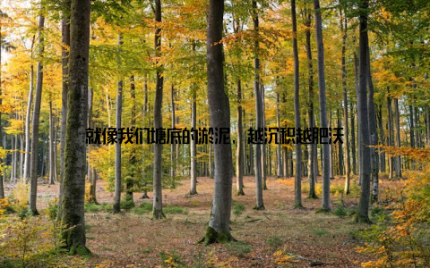 就像我们塘底的淤泥, 越沉积越肥沃