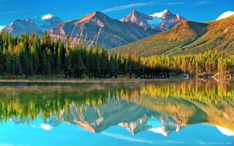 环境污染是另一个突出挑战