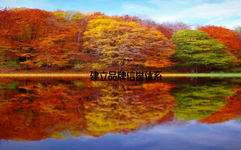 – 建立品牌信誉体系