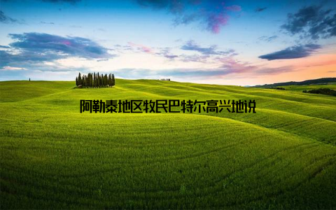 阿勒泰地区牧民巴特尔高兴地说