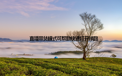– 直播带货模式可帮助快速打开销路
