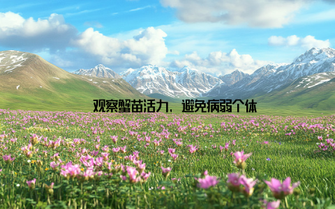 - 观察蟹苗活力, 避免病弱个体