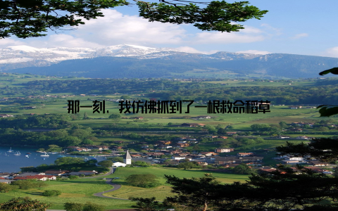 那一刻, 我仿佛抓到了一根救命稻草