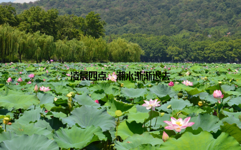 凌晨四点, 潮水渐渐退去