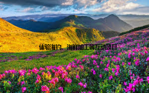 – 体验海钓、海鲜加工等互动项目