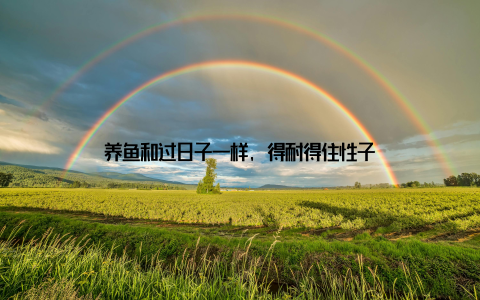 养鱼和过日子一样, 得耐得住性子