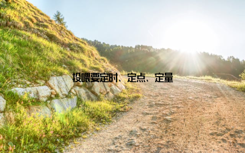 投喂要定时、定点、定量