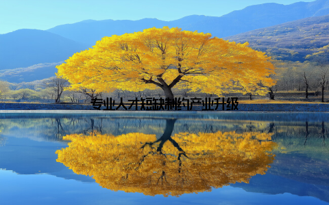 专业人才短缺制约产业升级