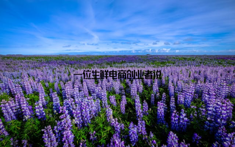 一位生鲜电商创业者说