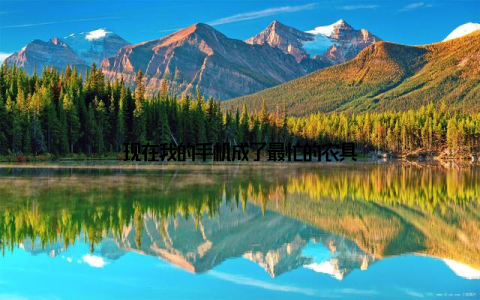 现在我的手机成了最忙的农具