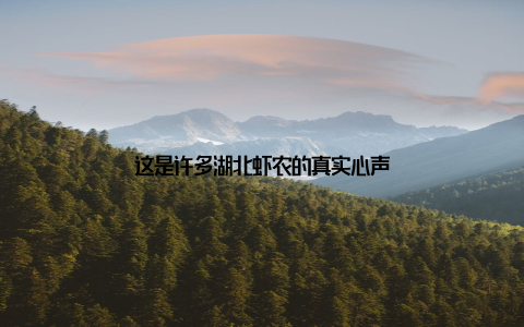 这是许多湖北虾农的真实心声