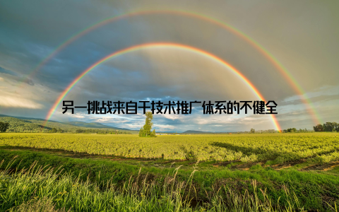 另一挑战来自于技术推广体系的不健全