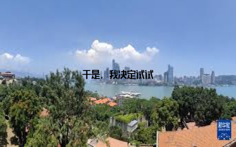 于是, 我决定试试