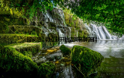 回家后, 我立刻开始查阅各种资料