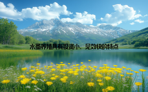 水蚤养殖具有投资小、见效快的特点