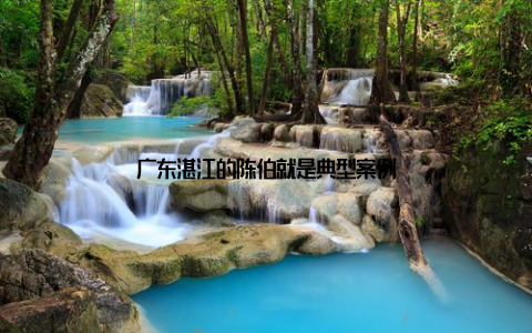 广东湛江的陈伯就是典型案例