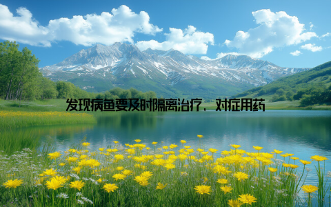 发现病鱼要及时隔离治疗, 对症用药