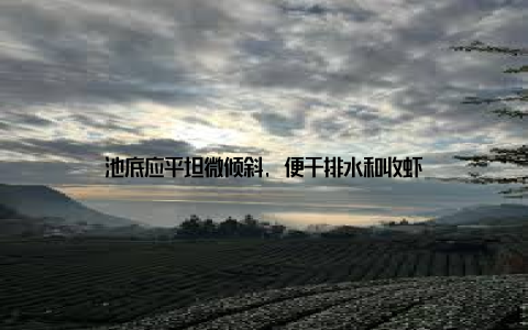 池底应平坦微倾斜, 便于排水和收虾