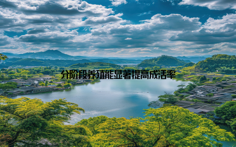 分阶段养殖能显著提高成活率