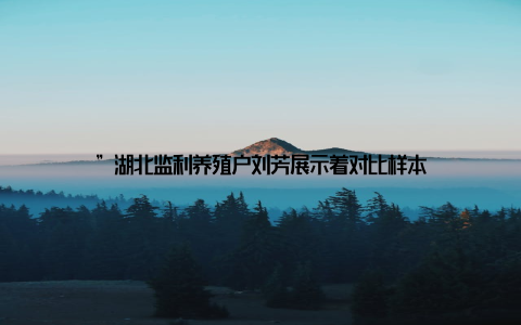 ”湖北监利养殖户刘芳展示着对比样本