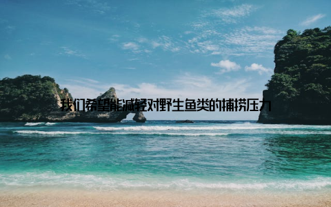 我们希望能减轻对野生鱼类的捕捞压力