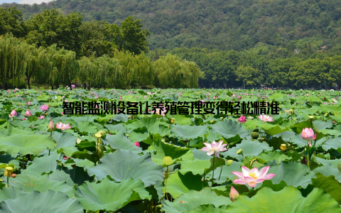 智能监测设备让养殖管理变得轻松精准