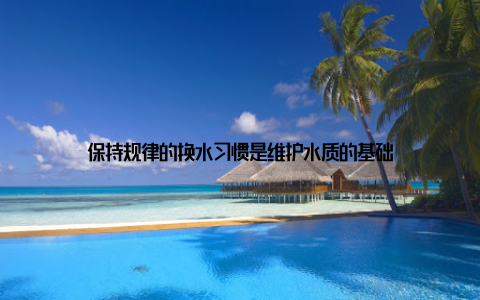 保持规律的换水习惯是维护水质的基础