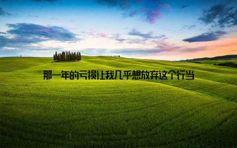 那一年的亏损让我几乎想放弃这个行当