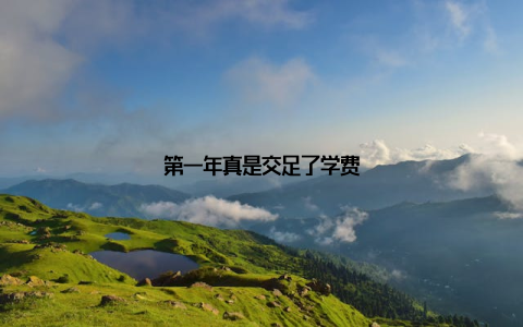 第一年真是交足了学费